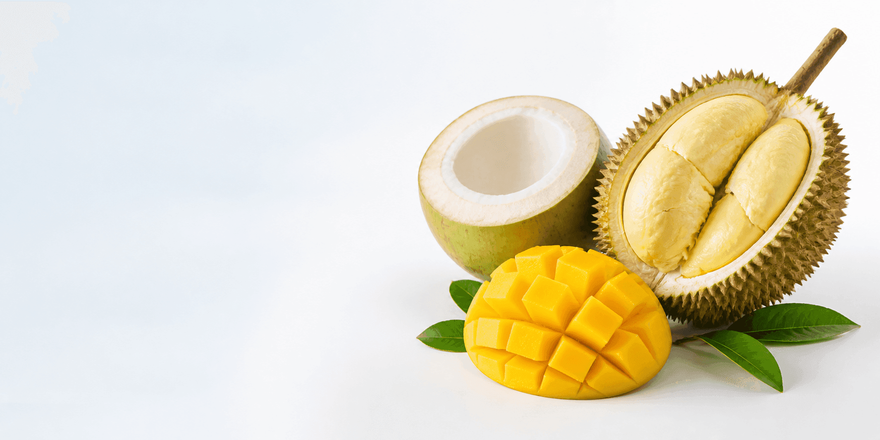 Thai tropical fruits: durian, mango and coconut